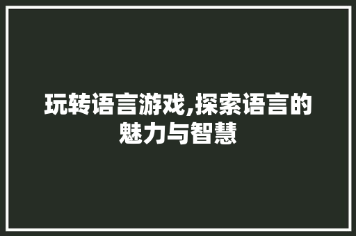 玩转语言游戏,探索语言的魅力与智慧