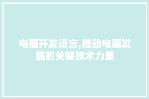 电商开发语言,推动电商发展的关键技术力量