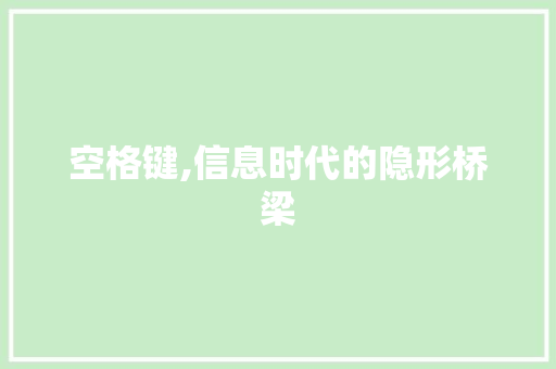 空格键,信息时代的隐形桥梁