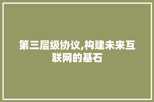 第三层级协议,构建未来互联网的基石