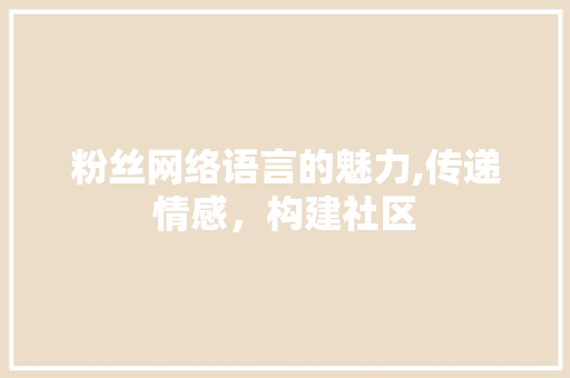 粉丝网络语言的魅力,传递情感，构建社区