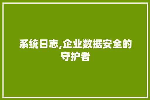 系统日志,企业数据安全的守护者