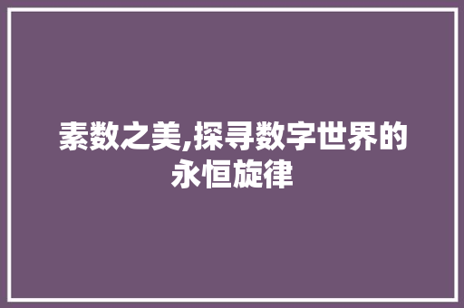 素数之美,探寻数字世界的永恒旋律