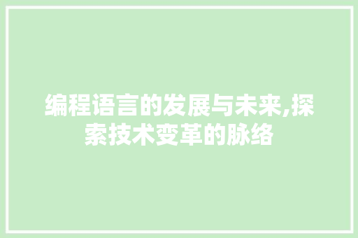 编程语言的发展与未来,探索技术变革的脉络