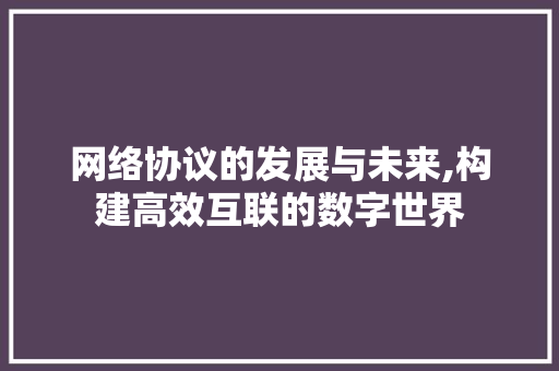 网络协议的发展与未来,构建高效互联的数字世界