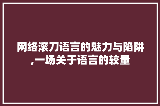 网络滚刀语言的魅力与陷阱,一场关于语言的较量