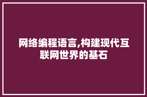 网络编程语言,构建现代互联网世界的基石