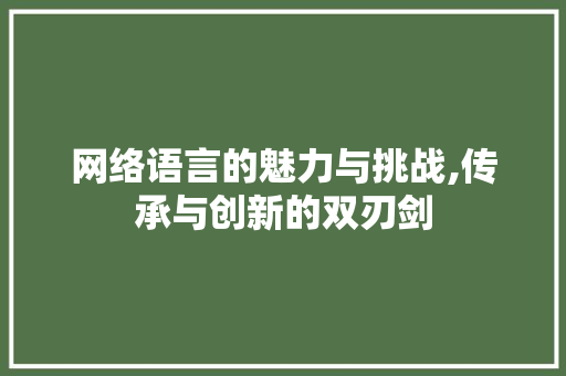 网络语言的魅力与挑战,传承与创新的双刃剑