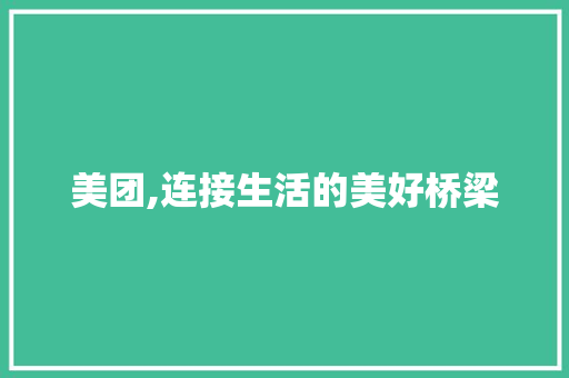 美团,连接生活的美好桥梁