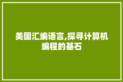 美国汇编语言,探寻计算机编程的基石