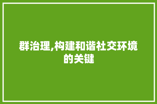 群治理,构建和谐社交环境的关键