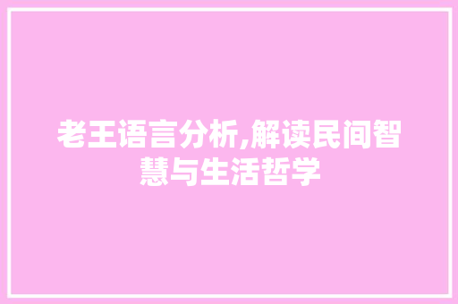 老王语言分析,解读民间智慧与生活哲学