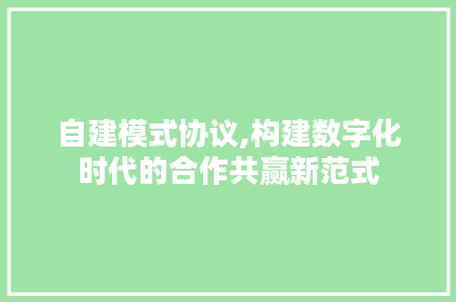 自建模式协议,构建数字化时代的合作共赢新范式