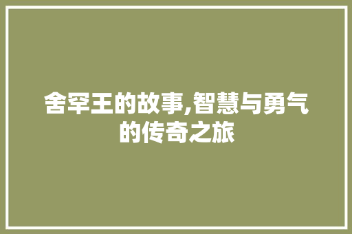 舍罕王的故事,智慧与勇气的传奇之旅