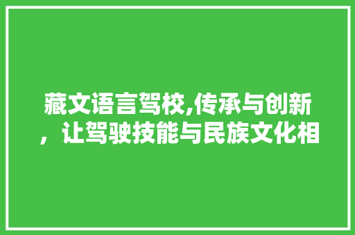 藏文语言驾校,传承与创新，让驾驶技能与民族文化相得益彰