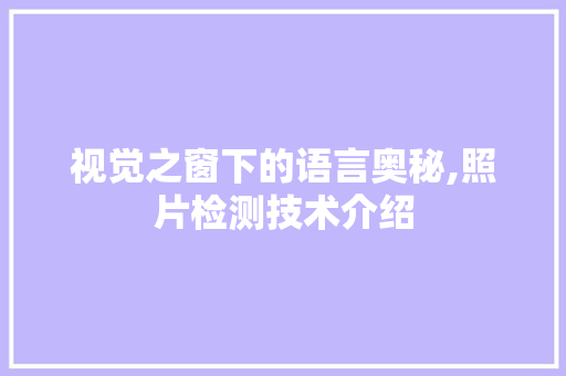 视觉之窗下的语言奥秘,照片检测技术介绍