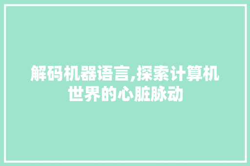 解码机器语言,探索计算机世界的心脏脉动