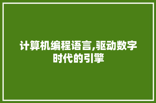 计算机编程语言,驱动数字时代的引擎