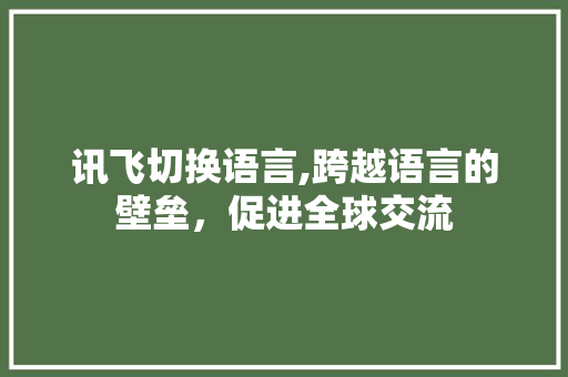 讯飞切换语言,跨越语言的壁垒，促进全球交流