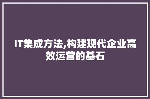 IT集成方法,构建现代企业高效运营的基石