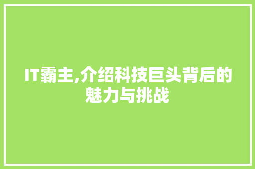 IT霸主,介绍科技巨头背后的魅力与挑战