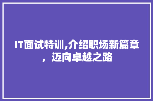 IT面试特训,介绍职场新篇章，迈向卓越之路