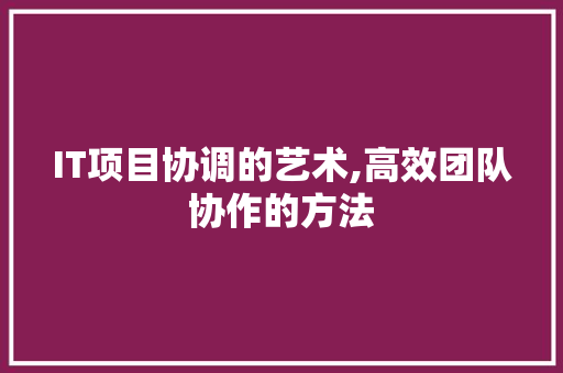 IT项目协调的艺术,高效团队协作的方法