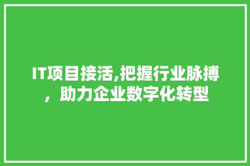 IT项目接活,把握行业脉搏，助力企业数字化转型