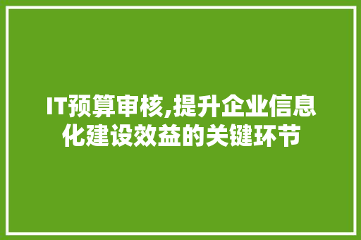 IT预算审核,提升企业信息化建设效益的关键环节