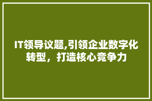 IT领导议题,引领企业数字化转型，打造核心竞争力