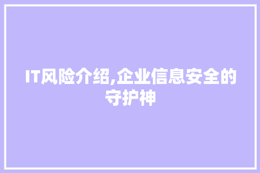 IT风险介绍,企业信息安全的守护神