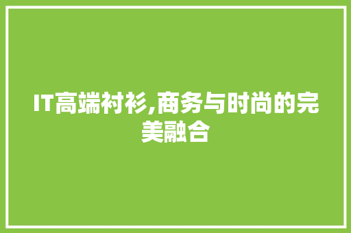 IT高端衬衫,商务与时尚的完美融合