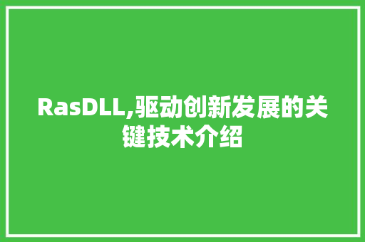 RasDLL,驱动创新发展的关键技术介绍