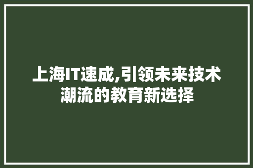 上海IT速成,引领未来技术潮流的教育新选择