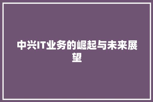 中兴IT业务的崛起与未来展望