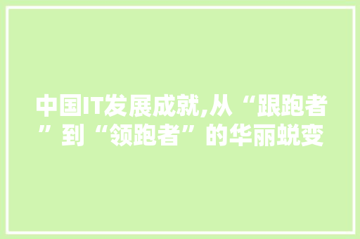 中国IT发展成就,从“跟跑者”到“领跑者”的华丽蜕变