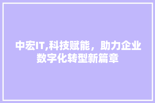 中宏IT,科技赋能，助力企业数字化转型新篇章