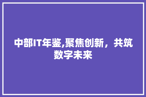 中部IT年鉴,聚焦创新，共筑数字未来