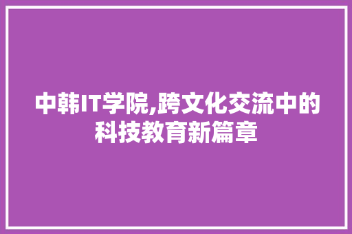 中韩IT学院,跨文化交流中的科技教育新篇章