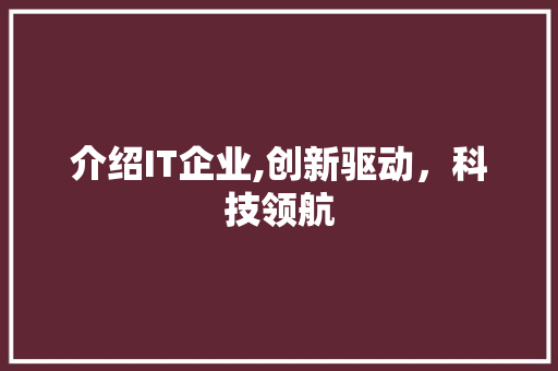 介绍IT企业,创新驱动，科技领航