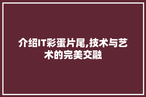 介绍IT彩蛋片尾,技术与艺术的完美交融