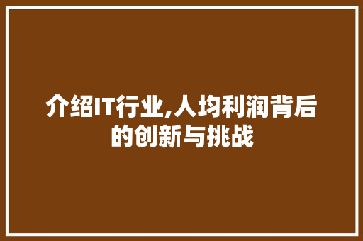 介绍IT行业,人均利润背后的创新与挑战