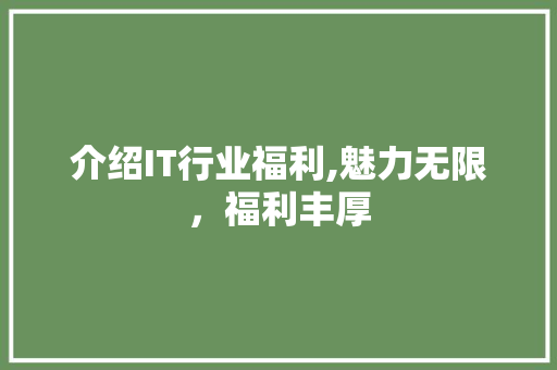 介绍IT行业福利,魅力无限，福利丰厚