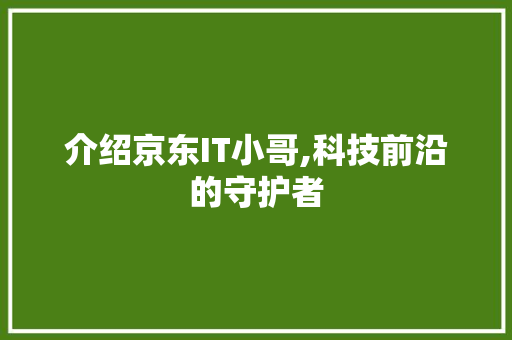 介绍京东IT小哥,科技前沿的守护者