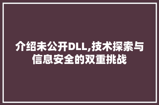 介绍未公开DLL,技术探索与信息安全的双重挑战