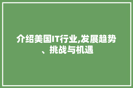 介绍美国IT行业,发展趋势、挑战与机遇