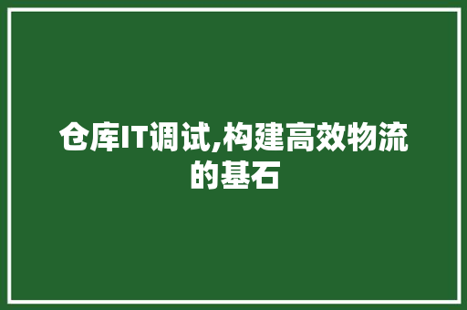 仓库IT调试,构建高效物流的基石