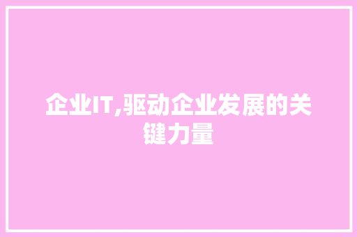 企业IT,驱动企业发展的关键力量