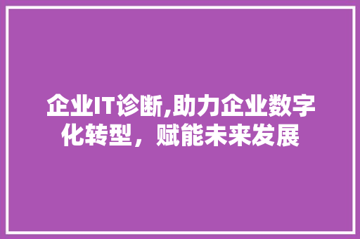 企业IT诊断,助力企业数字化转型，赋能未来发展