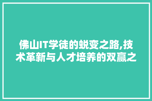 佛山IT学徒的蜕变之路,技术革新与人才培养的双赢之路